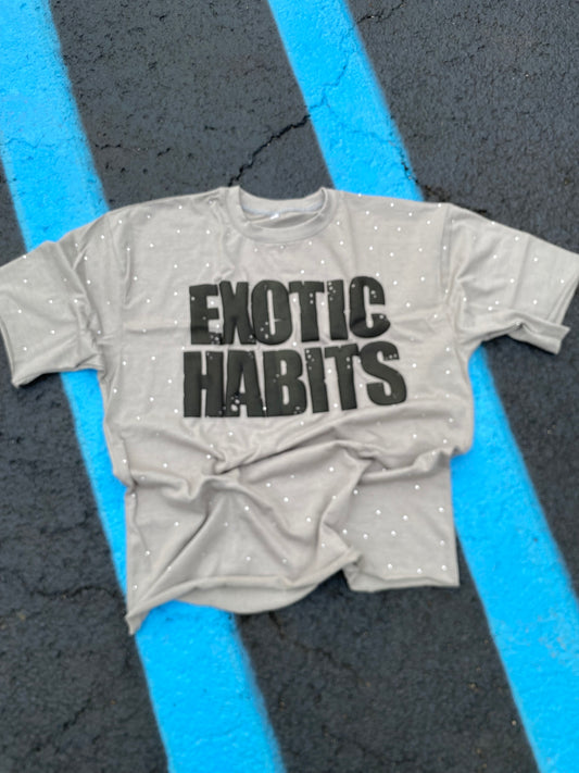 ExoticHabits (Oversized t) Grey