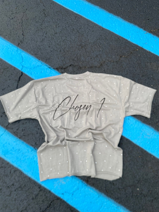 ExoticHabits (Oversized t) Grey